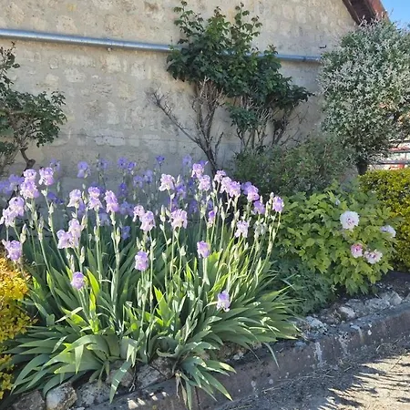 Au Jardin Fleuri Vakantieboerderij Vauxaillon