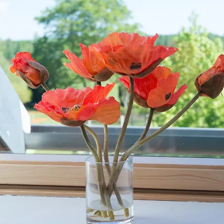 Au Jardin Fleuri Vauxaillon