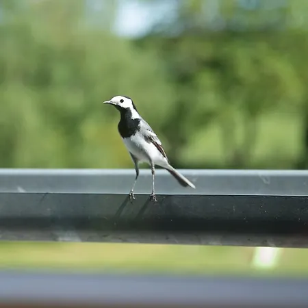 Au Jardin Fleuri Vakantieboerderij
