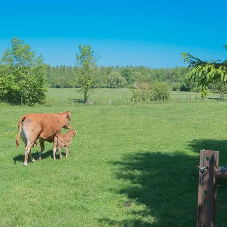 Au Jardin Fleuri Vauxaillon