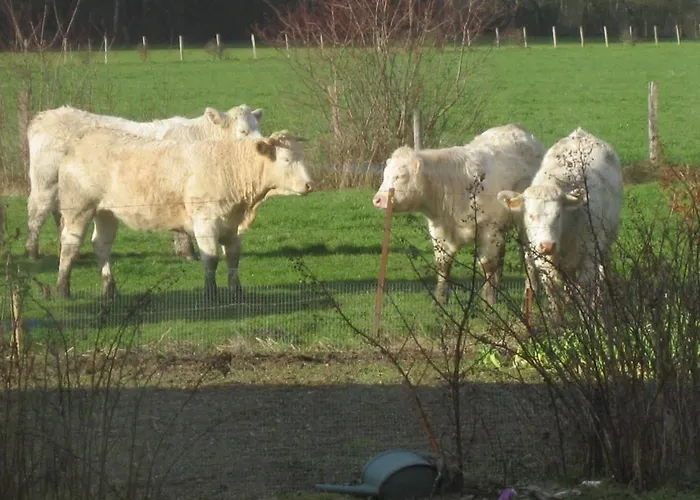 Au Jardin Fleuri Vauxaillon