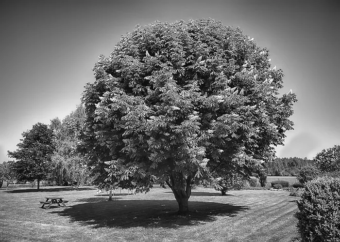 Au Jardin Fleuri Фермерский дом Vauxaillon