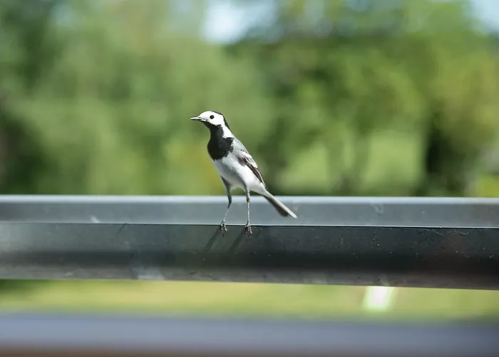 Au Jardin Fleuri Фермерский дом