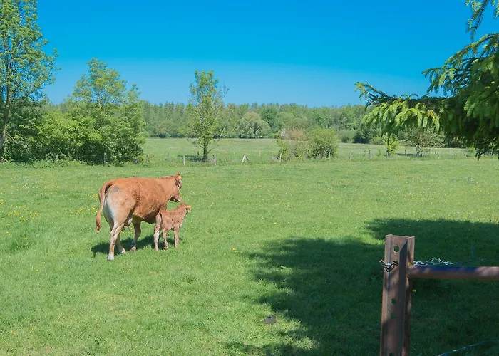 Au Jardin Fleuri Vauxaillon