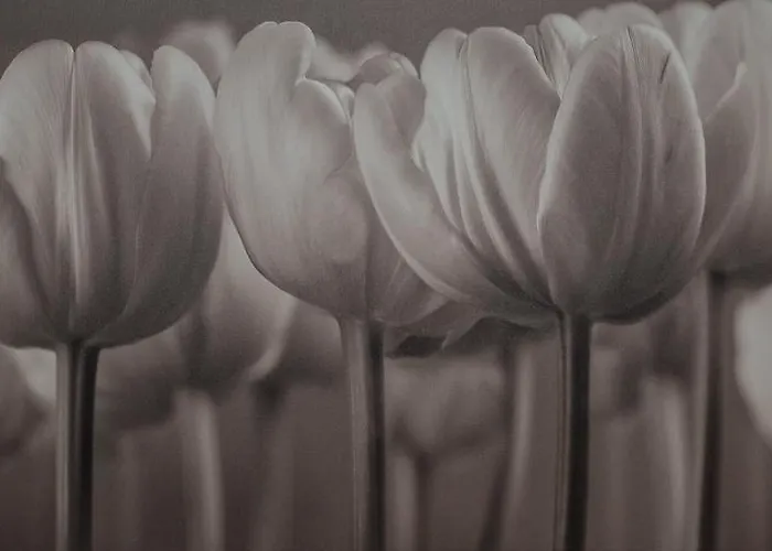 Au Jardin Fleuri Фермерский дом Vauxaillon